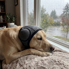 CalmCowl™ Noise-Calming Hood — Help Your Dog Feel Safe