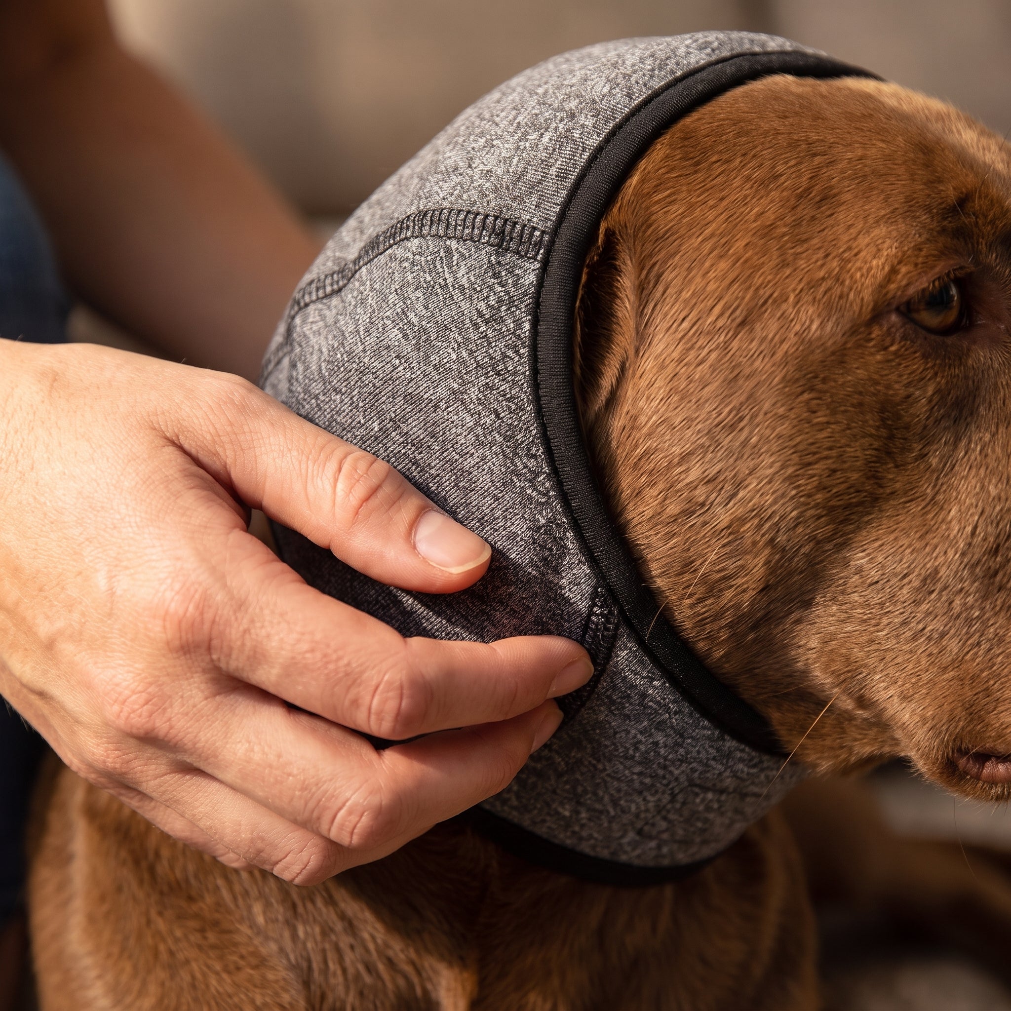 CalmCowl™ Noise-Calming Hood — Help Your Dog Feel Safe