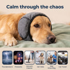 CalmCowl™ Noise-Calming Hood — Help Your Dog Feel Safe